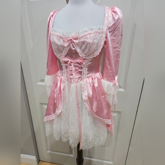 Dolls Kill Exclusive French Cake Queen Marie Antoinette Pink Lace Mini Dress S - Picture 10 of 11